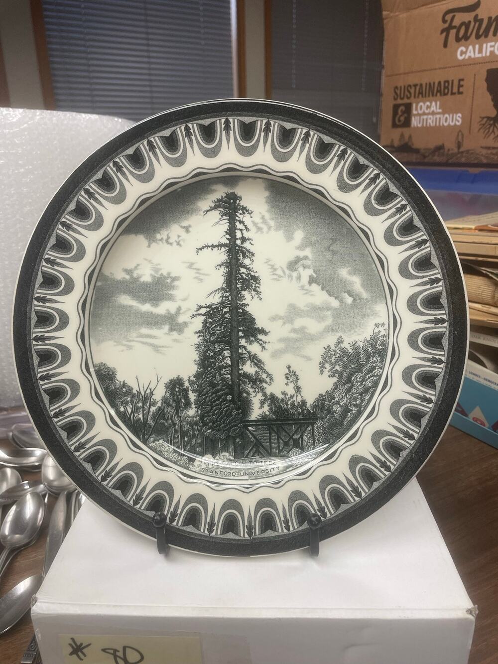 Rare Copeland Spode Stanford University Scenic Plates Complete Set of 12